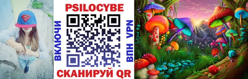 кракен ссылки  что такое   Звенигород  Псилоцибиновые грибы Cubensis 